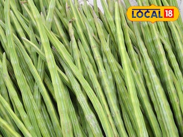 शेवगा महागला 