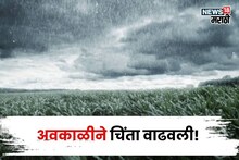 अवकाळी हाहाकार माजवणार! या जिल्ह्यांसाठी पुढील ४८ तास धोक्याचे, कृषी सल्ला काय?