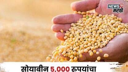 Soybean Market Soybean Market