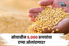 नोव्हेंबरमध्ये सोयाबीन ५,००० चा टप्पा ओलांडणार? बाजारभावाबाबत नवीन अपडेट आली समोर