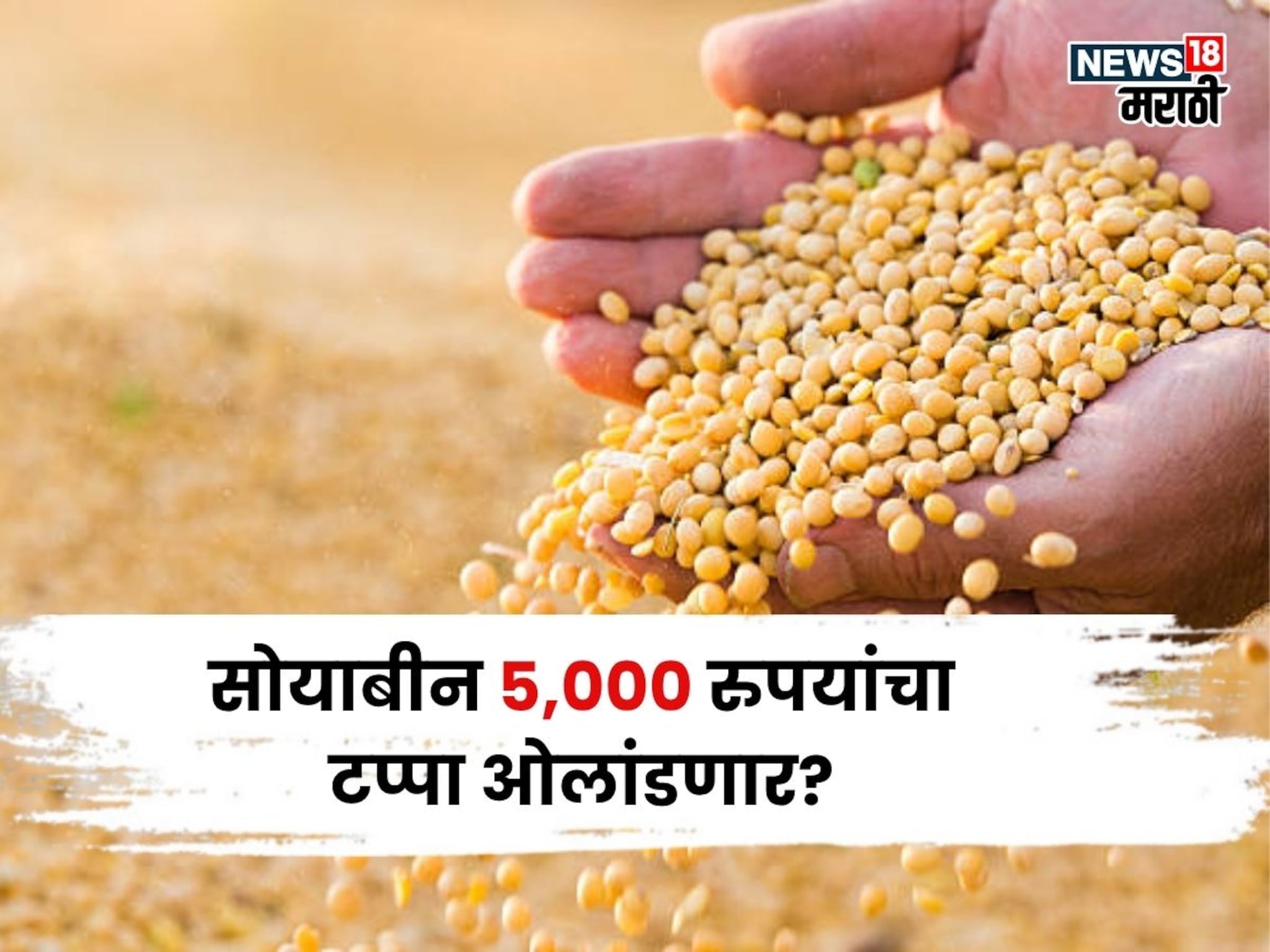 नोव्हेंबरमध्ये सोयाबीन ५,००० चा टप्पा ओलांडणार? बाजारभावाबाबत नवीन अपडेट आली समोर