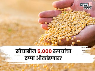 Soybean Market Soybean Market