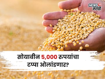 Soybean Market Soybean Market