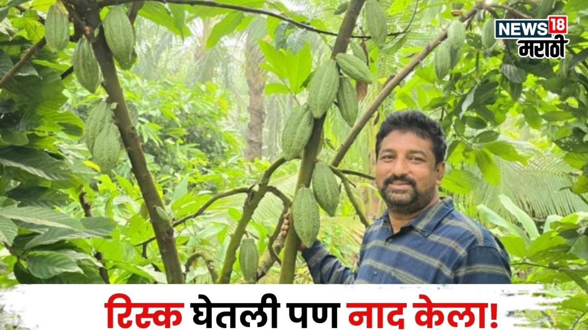 १० वर्ष वैज्ञानिक म्हणून नोकरी केली, पण या शेतीनं नशीब उजळवलं, शेतकरी वर्षाला करतोय १८,००,००० ची कमाई