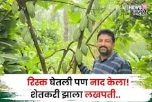 १० वर्ष वैज्ञानिक म्हणून नोकरी केली, पण या शेतीनं नशीब उजळवलं, शेतकरी वर्षाला करतोय १८,००,००० ची कमाई