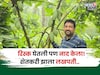 वैज्ञानिक म्हणून नोकरी केली, शेतीनं नशीब उजळवलं, शेतकरी करतोय १८ लाखांची कमाई