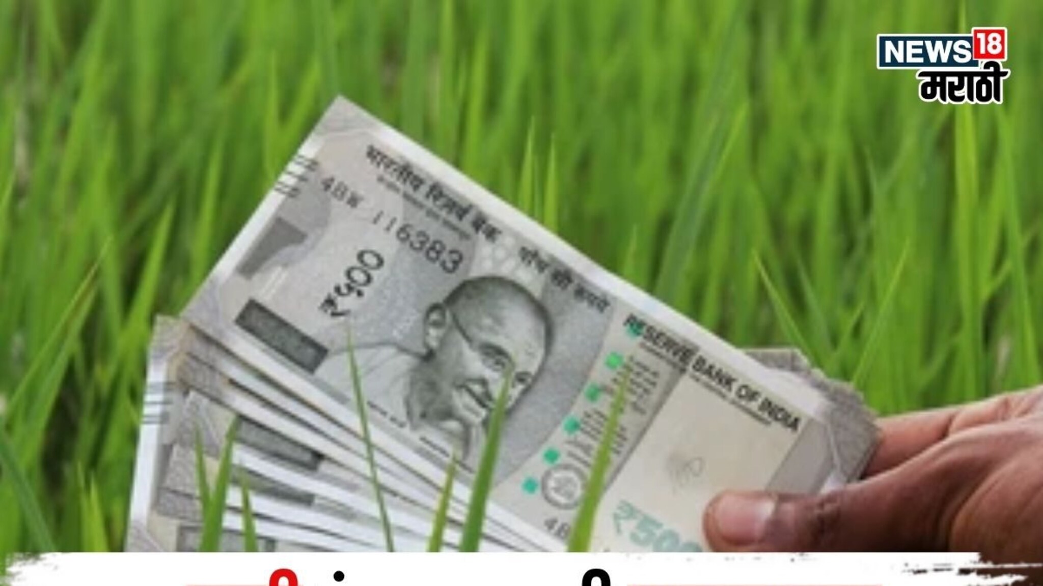रब्बी हंगामासाठी ७८४५ कोटी मंजूर, विभागनिहाय शेतकऱ्यांना किती पैसे मिळणार?