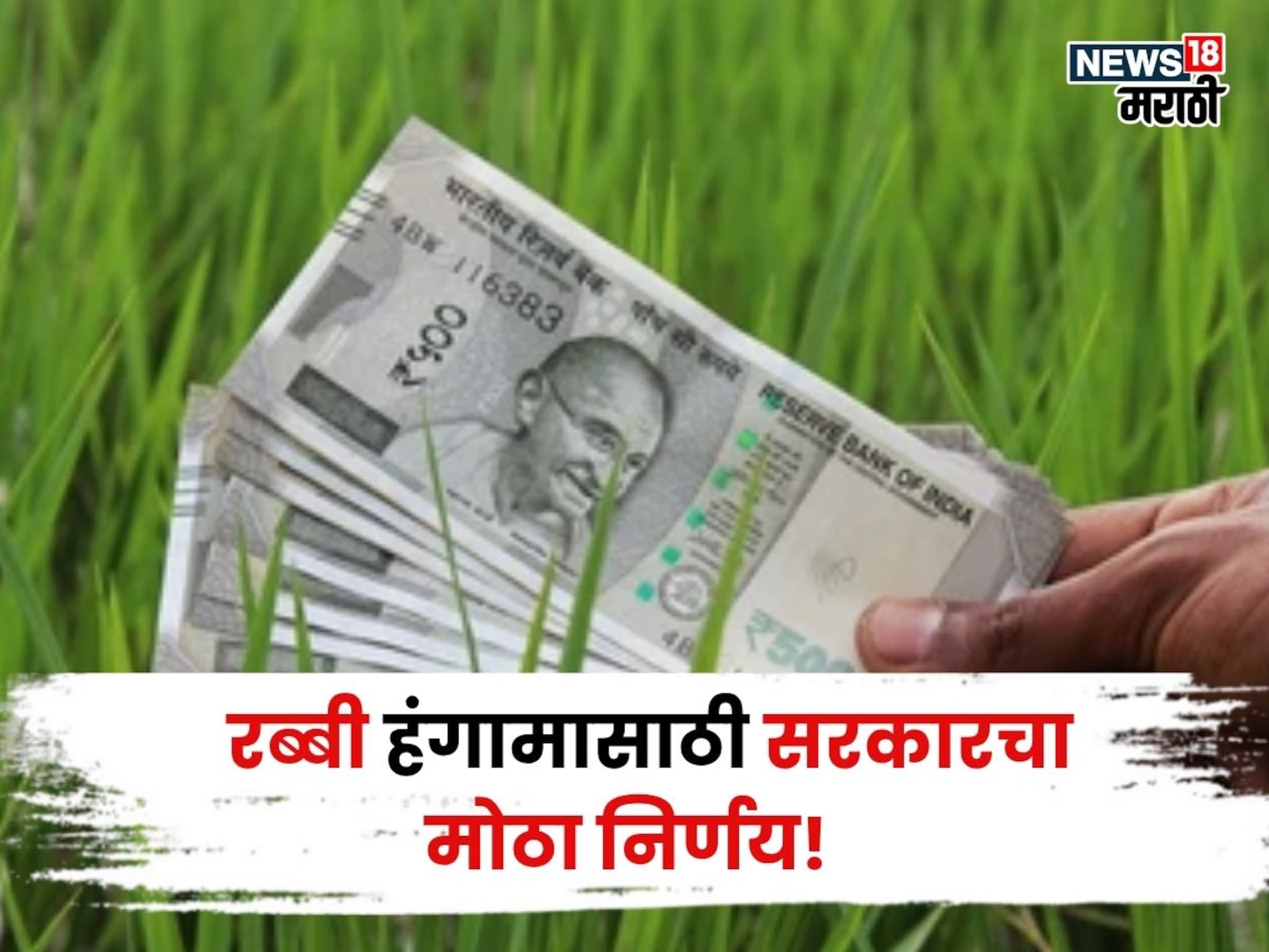 राज्य सरकारचा मोठा निर्णय! रब्बी हंगामासाठी ७८४५ कोटी मंजूर, विभागनिहाय शेतकऱ्यांना किती पैसे मिळणार?