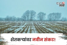 कृषी हवामान : आधी अतिवृष्टीने शेतकऱ्यांना झोडपलं! आता नवीन संकट, रब्बी पिकांची काय काळजी घ्याल?