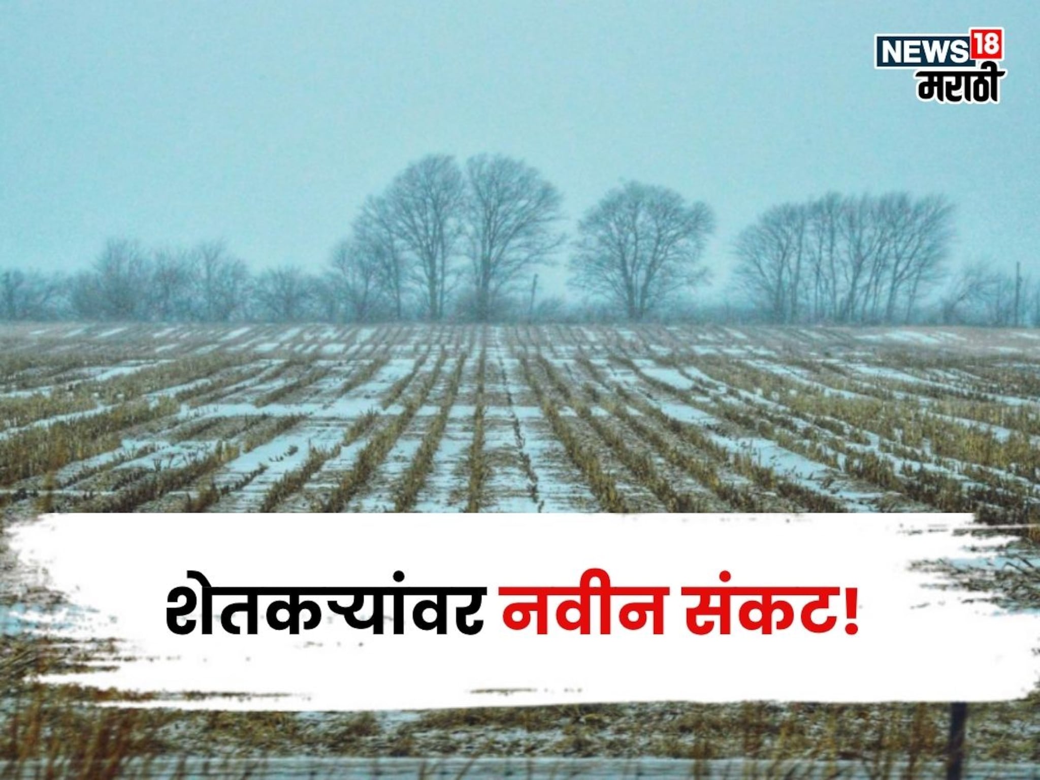 कृषी हवामान : आधी अतिवृष्टीने शेतकऱ्यांना झोडपलं! आता नवीन संकट, रब्बी पिकांची काय काळजी घ्याल?