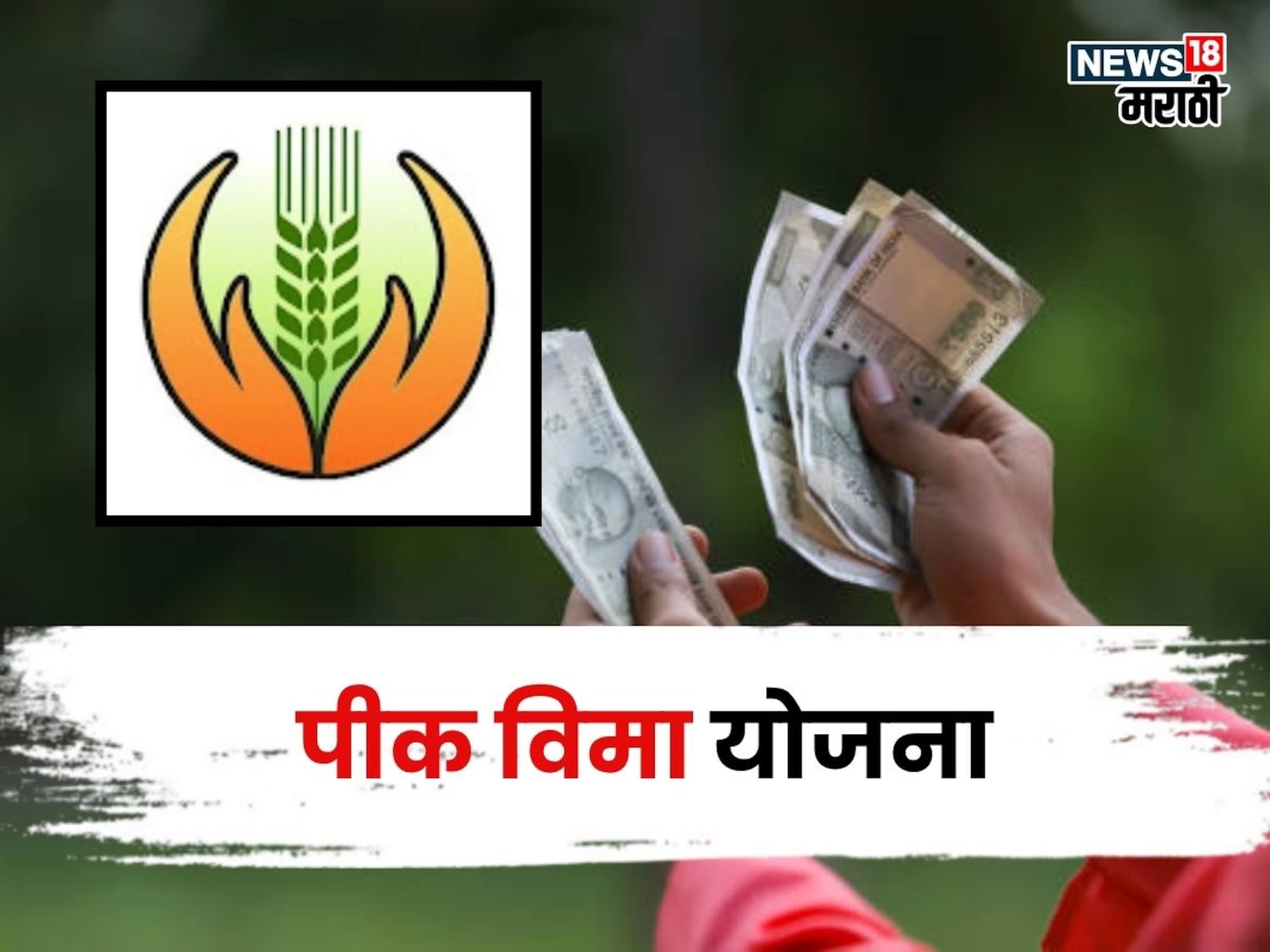 पीक विमा योजनेतून शेतकऱ्यांना १७,५०० रुपये मिळणार! पण कधी? निकष काय असणार? अपडेट आली समोर