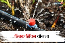 कृषी विभागाचा मोठा निर्णय! शेतकऱ्यांना ठिबक सिंचनच्या अनुदानासाठी हे ५ कागदपत्रे असणार बंधनकारक