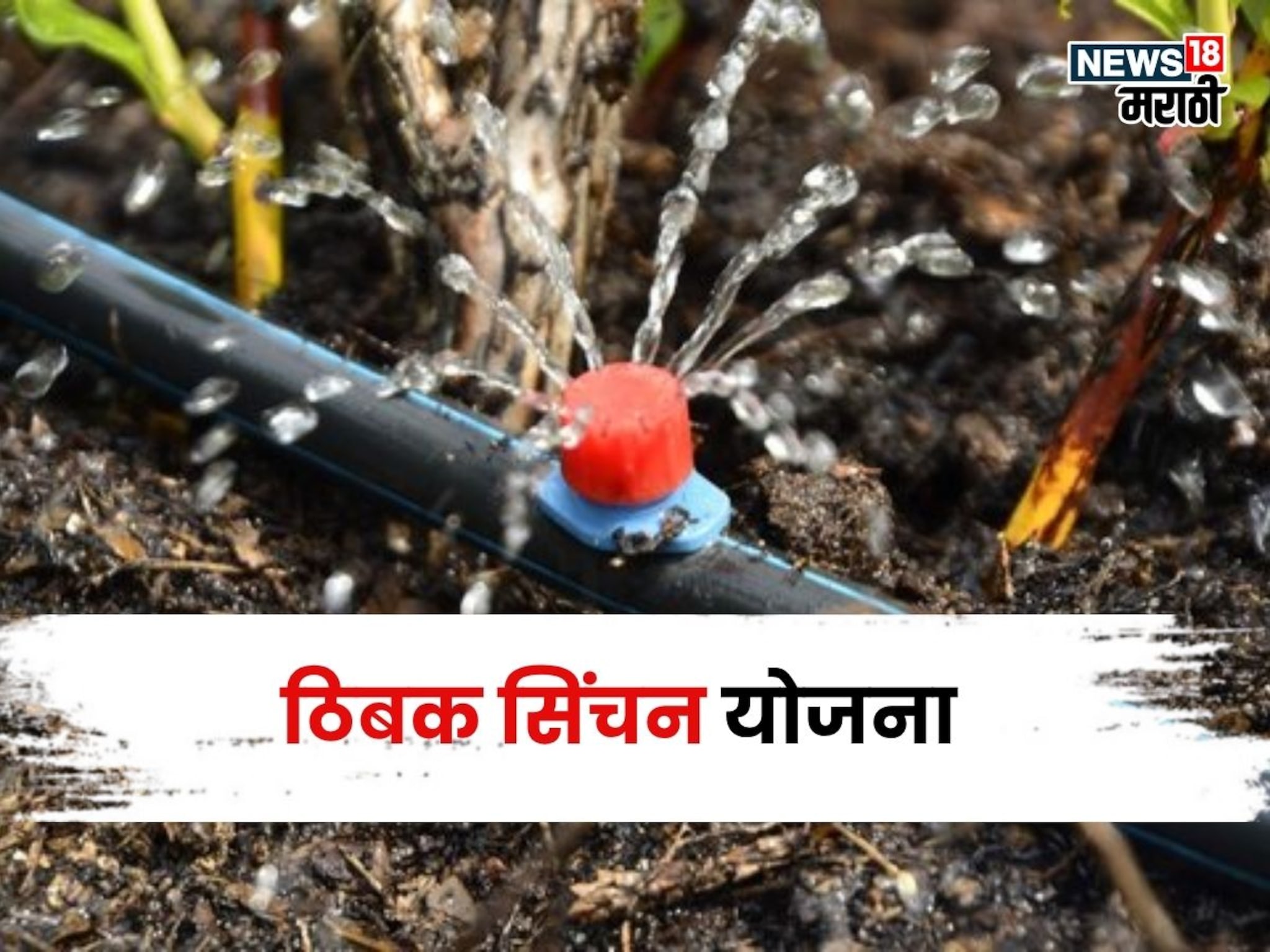 कृषी विभागाचा मोठा निर्णय! शेतकऱ्यांना ठिबक सिंचनच्या अनुदानासाठी हे ५ कागदपत्रे असणार बंधनकारक