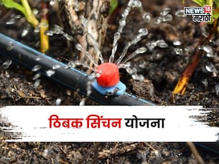 Agriculture News Agriculture News