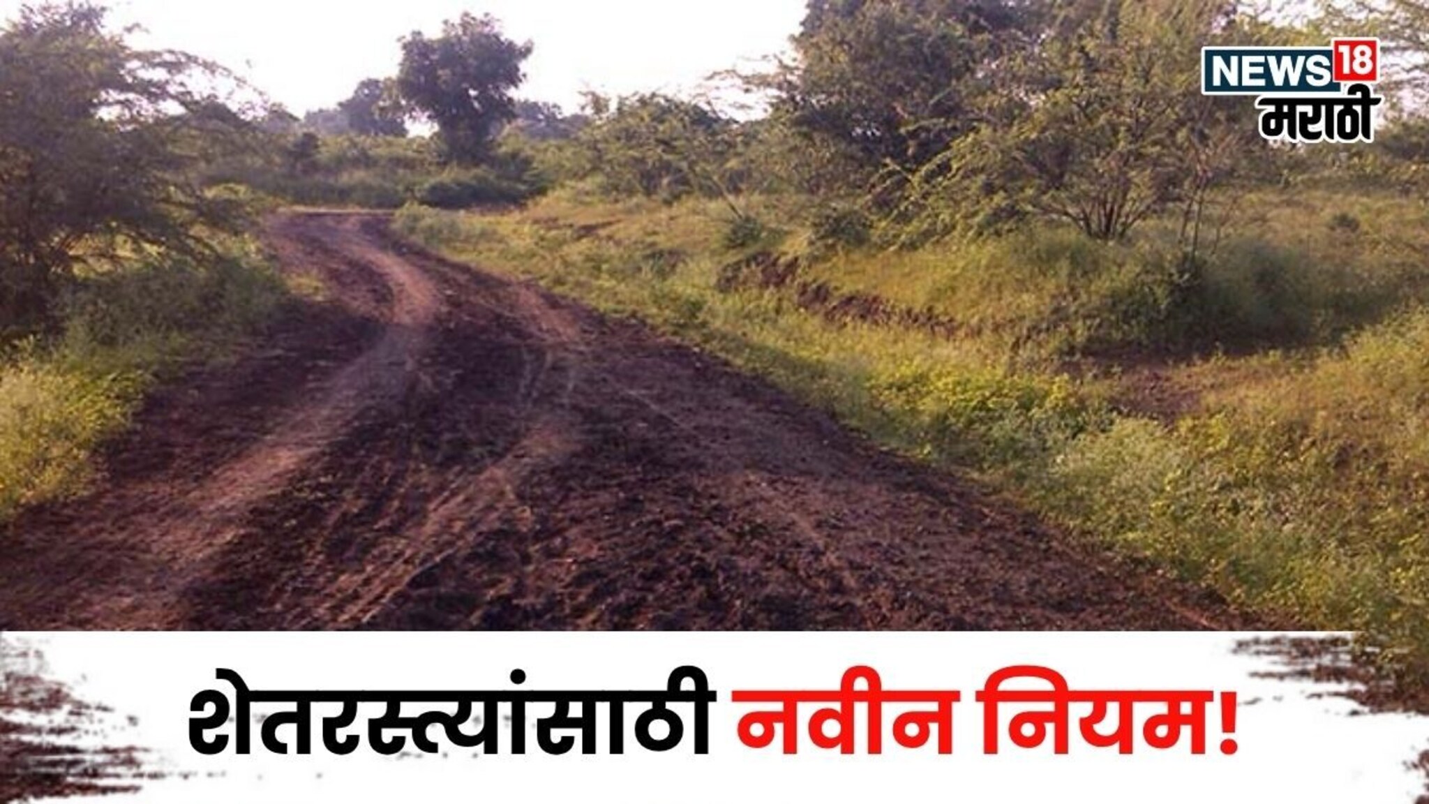 शेतरस्त्यांसाठी महसूल विभागाकडून नवीन आदेश जाहीर! शेतकऱ्यांना कोणते फायदे मिळणार?