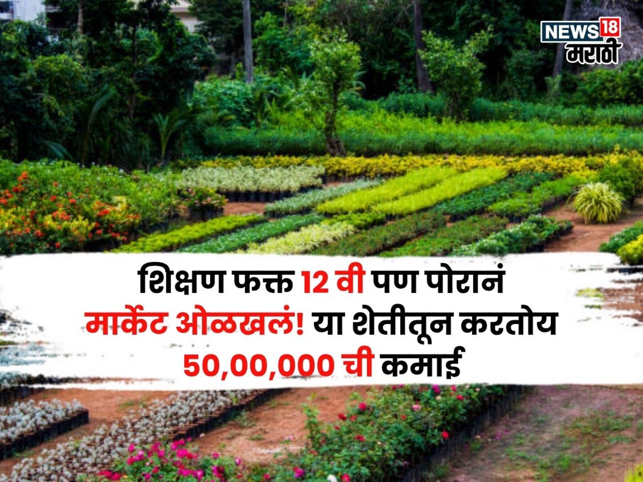 लय भारी! शिक्षण फक्त १२ वी पण पोरानं मार्केट ओळखलं, या शेतीतून करतोय ५०,००,००० ची कमाई लय भारी! शिक्षण फक्त १२ वी पण पोरानं मार्केट ओळखलं, या शेतीतून करतोय ५०,००,००० ची कमाई