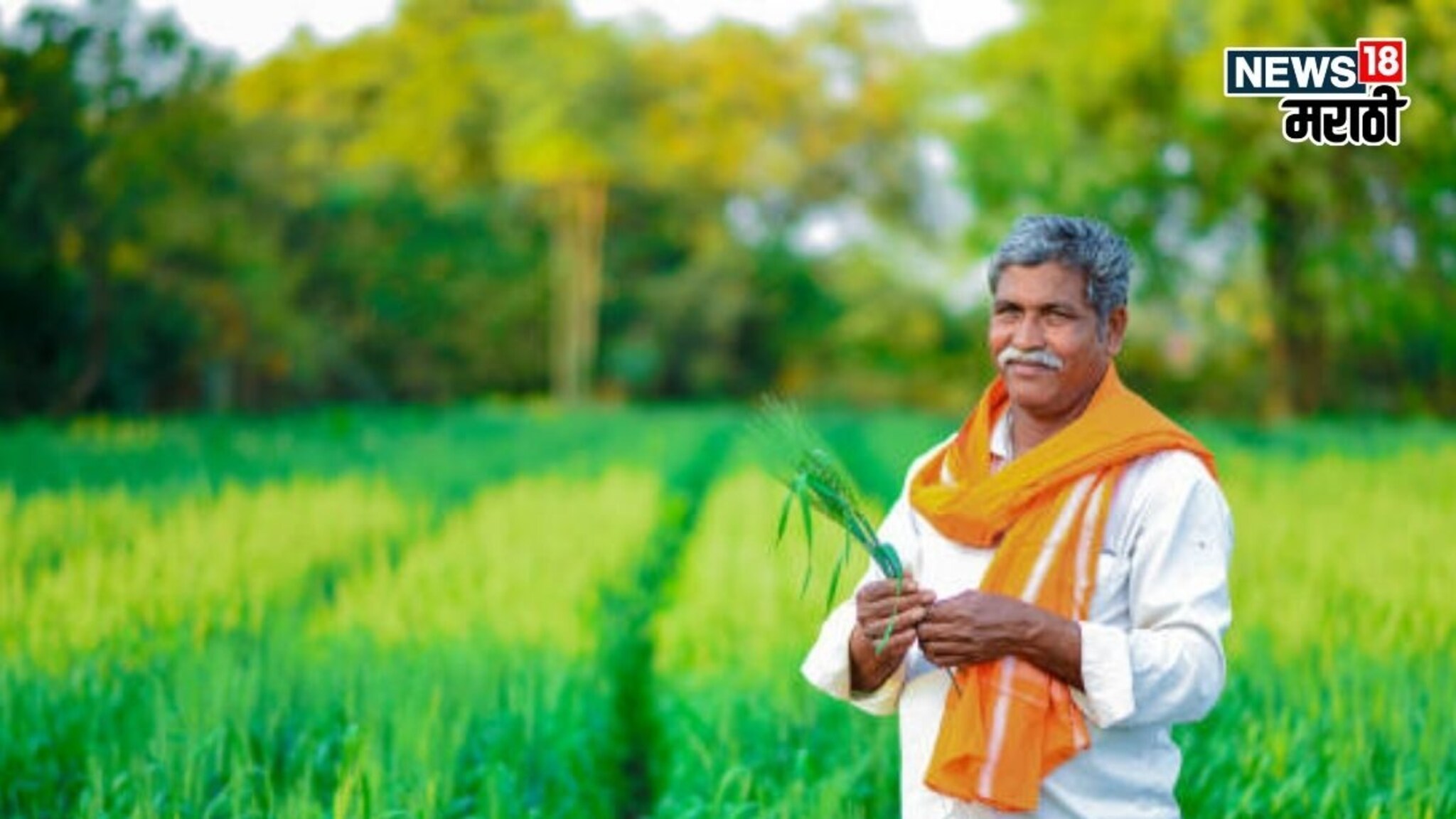 रब्बी पीक स्पर्धा सुरू! विजेत्याला किती रुपयांचे बक्षीस? नोंदणी कुठे कराल?