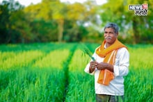रब्बी पीक स्पर्धा सुरू! विजेत्याला किती रुपयांचे बक्षीस? नोंदणी कुठे कराल?
