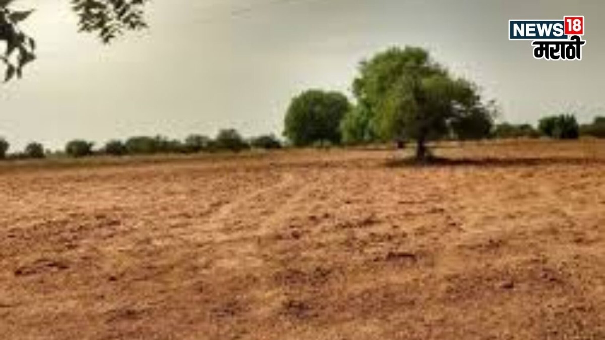 तुमच्या जमिनीचा हिस्सा शेजारच्याकडे जास्त असल्याचं सिद्ध झालंय? मग अशावेळेस तो पुन्हा कसा मिळवायचा?