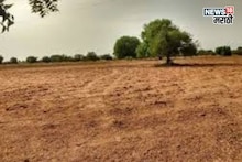 तुमच्या जमिनीचा हिस्सा शेजारच्याकडे जास्त असल्याचं सिद्ध झालंय? मग अशावेळेस तो पुन्हा कसा मिळवायचा?