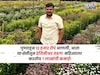 पुण्याहून 12 हजार रोपं आणली,या शेतीतून तरुण महिन्याला करतोय 7 लाखांची कमाई