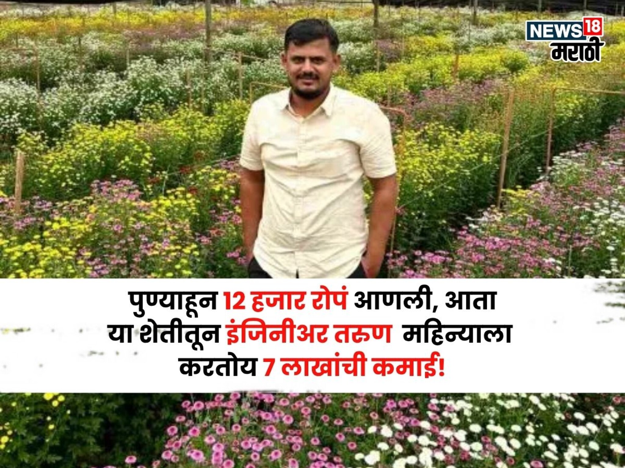 मित्र नोकरी करत बसले! पण त्यानं पुण्याहून 12 हजार रोपं आणली, आता या शेतीतून इंजिनीअर तरुण महिन्याला करतोय 7 लाखांची कमाई मित्र नोकरी करत बसले! पण त्यानं पुण्याहून 12 हजार रोपं आणली, आता या शेतीतून इंजिनीअर तरुण महिन्याला करतोय 7 लाखांची कमाई