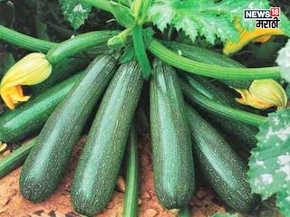 agriculture news agriculture news