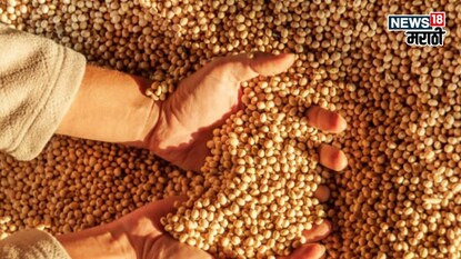 soybean market update soybean market update
