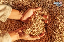 सोयाबीनची आवक वाढली! दर घसरणार की कडाडणार? आजचं मार्केट काय?