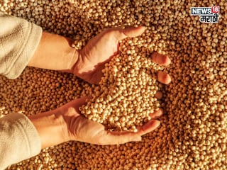 soybean market update soybean market update
