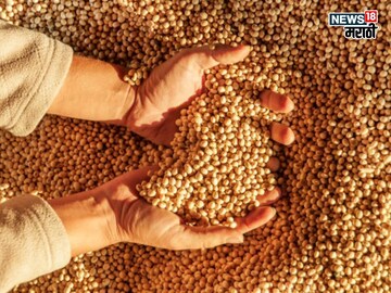 सोयाबीनची आवक वाढली, मंगरुळपीरमध्ये मिळाला 6,000 रु दर, भाव आणखी कडाडणार का?