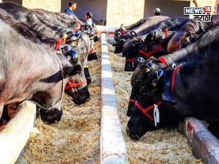 success story success story