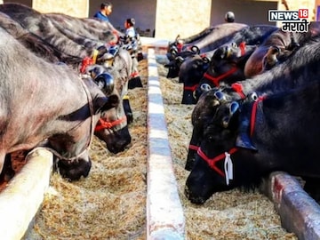 success story success story