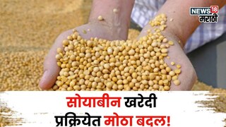soybean market