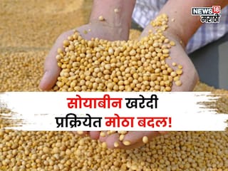 soybean market soybean market