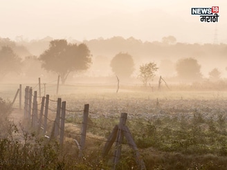थंडीची मोठी लाट येणार! पशूंसह रब्बी पिकांची काय काळजी घ्याल? IMD ने दिला सल्ला