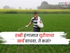 रब्बी हंगामात युरीयाचा खर्च वाचणार, घरच्या घरी तयार करा 3 पॉवरफूल सेंद्रिय खतं