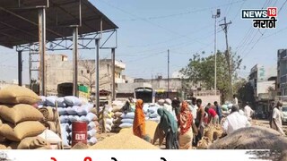 soybean market soybean market