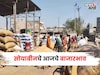 दरात पुन्हा ऊसळी! पिवळ्या सोयाबीनच्या आवकेत वाढ, आजचं मार्केट काय?