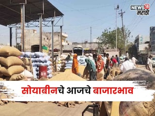 soybean market soybean market