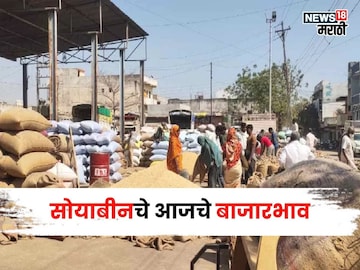 soybean market soybean market