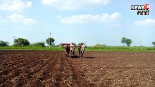 property rules property rules