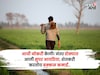 आधी नोकरी केली! नंतर डोक्यात आली सुपर आयडिया, आता तरुण शेतकरी करतोय बक्कळ कमाई
