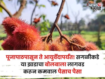 agriculture news agriculture news