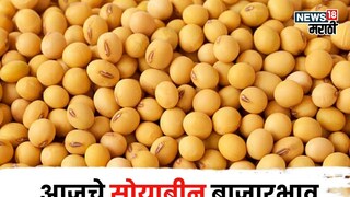 soybean market