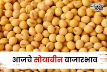 सोयाबीनच्या मार्केटमध्ये पुन्हा उलटफेर! दरात घरसण की वाढ? अपडेट आली समोर