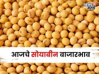 soybean market soybean market