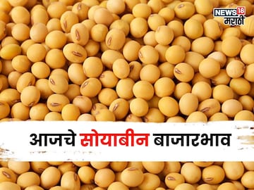 soybean market soybean market