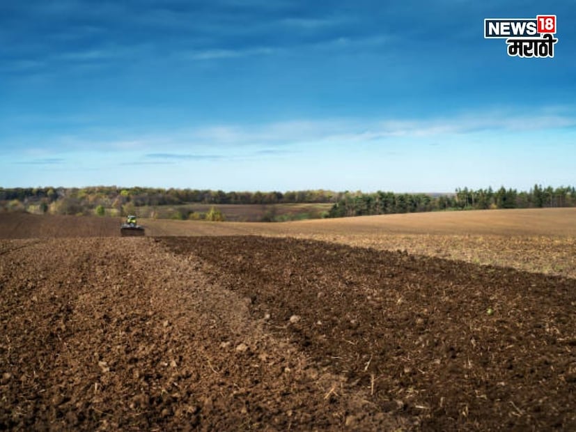 कायदेशीर मार्ग काय? 