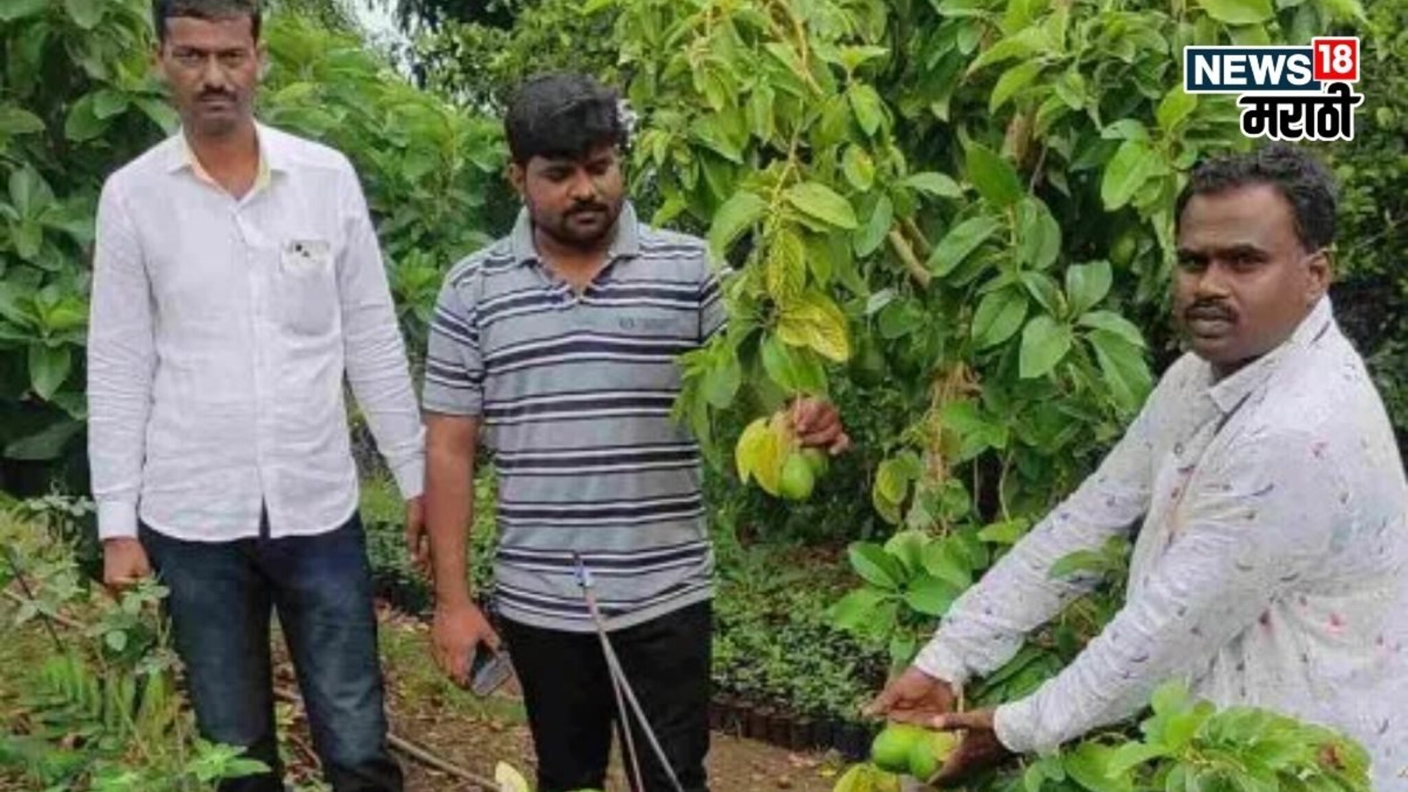 रिस्क घेतली पण नाद केला! जे कुणाला जमलं नाही ते बीडच्या शेतकऱ्याने करून दाखवलं, आता करताय लाखोंत कमाई